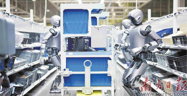 優必選工業人形機器人在工廠開展協同實訓。 南方日報記者 朱洪波 通訊員 羅艷 攝